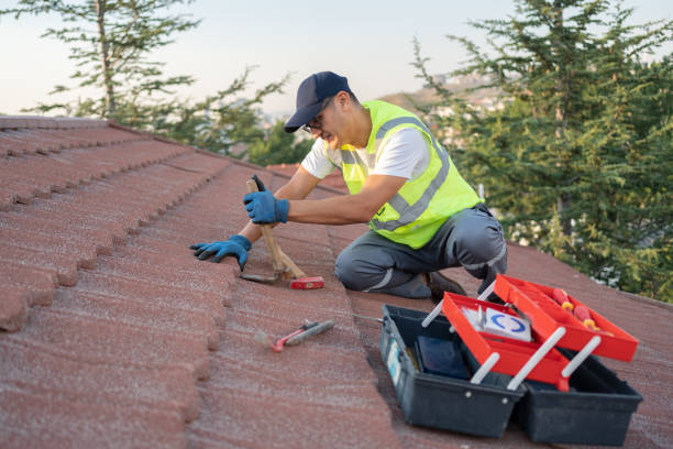 Professional Roofing Contractor in Bloomingdale, GA