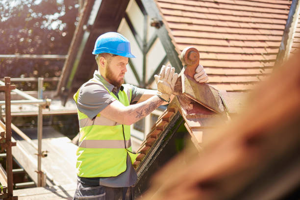 Roof Gutter Cleaning in Bloomingdale, GA